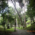 Tikal-瑪雅文明遺址 9-5