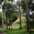 Tikal-瑪雅文明遺址 9-6
