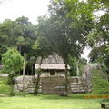 Tikal-瑪雅文明遺址 9-7