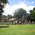 Tikal-瑪雅文明遺址 9-9