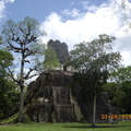 Tikal-瑪雅文明遺址 9-11
