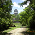 Tikal-瑪雅文明遺址 9-13