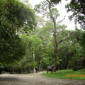 Tikal-瑪雅文明遺址 10-2