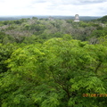 Tikal-瑪雅文明遺址12 -2
