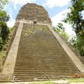 Tikal-瑪雅文明遺址 - 2