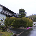 日本奈良山之邊步道