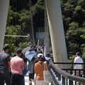 花東休閒三日遊：布洛灣山岳吊橋2023.07.25