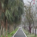 新自行車道（2017.03.13.梅花湖）