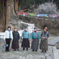 在古柏王遇見四位藏族女子