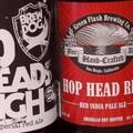 Red IPA Horizontal Tasting--Brewdog vs. Green Flash