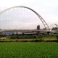新月橋景觀橋下方濕地長滿水生植物。