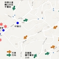 2013暪一月，台北市士林區平等里櫻花盛況。