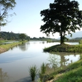 大溪河濱公園和附近