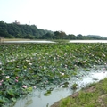 大溪河濱公園和附近