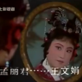 王文娟  1980年孟麗君電視版本  

王文娟
丁賽君
金美芳