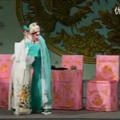 粤剧多情孟丽君 第三幕：病榻啼鹃-22