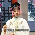 廬劇孟麗君-盛小五版  第一集  11