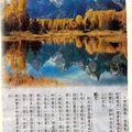 美麗的秋景(人間福報1011206)2