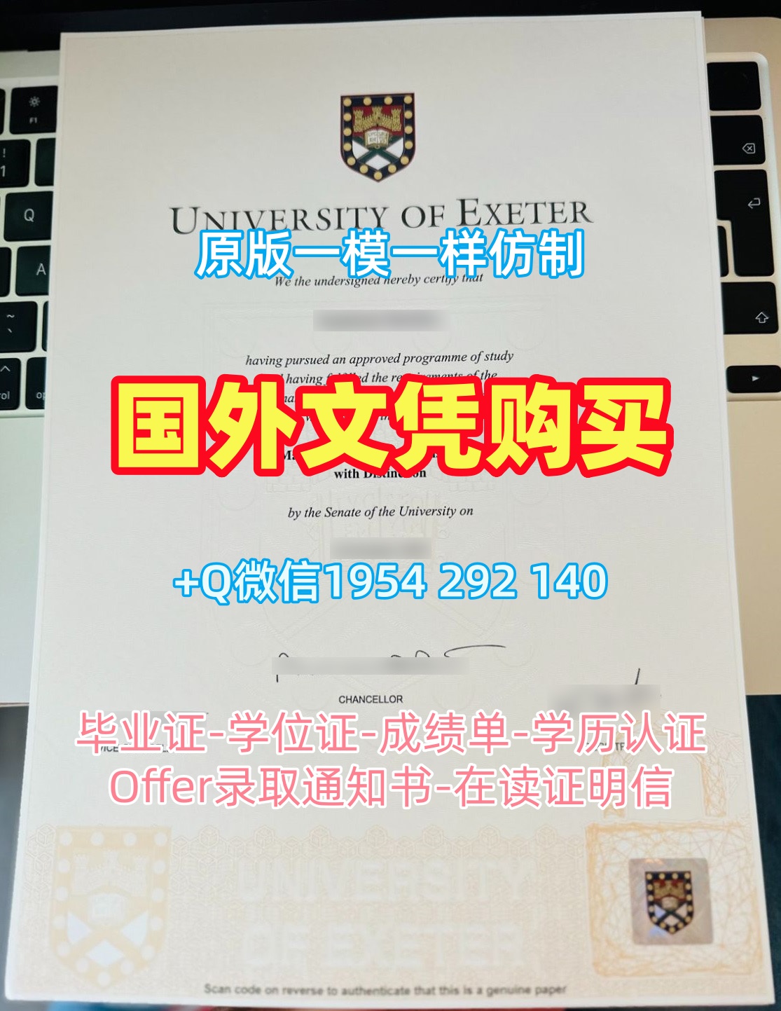 网络图片