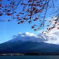 初見富士山