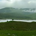 Shiel Bridge