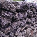 老澎湖有名的建材: 硓咕石是珊瑚礁石灰岩,其表面十分粗糙、尖銳,又稱咕咾石等。