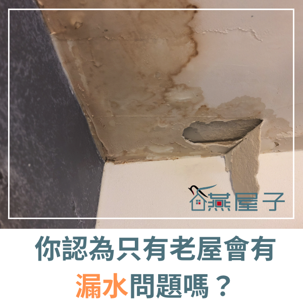 【桃園|中壢】驗屋推薦-漏水危機:小問題大隱憂