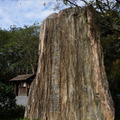 杭州-天竺寺