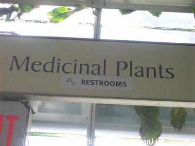 植物用藥區