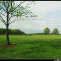小巴經過足球場，另一邊是草地更大更美的高爾夫球場

 — at Woodberry Forest School.
