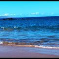 夏威夷假期12/8  Maui Beach