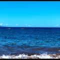 夏威夷假期12/8  Maui Beach