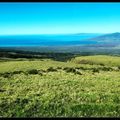 夏威夷假期12/09    Haleakala   Crater