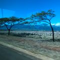 夏威夷假期12/09    Haleakala   Crater