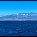夏威夷假期12/09               Haleakala   Crater
