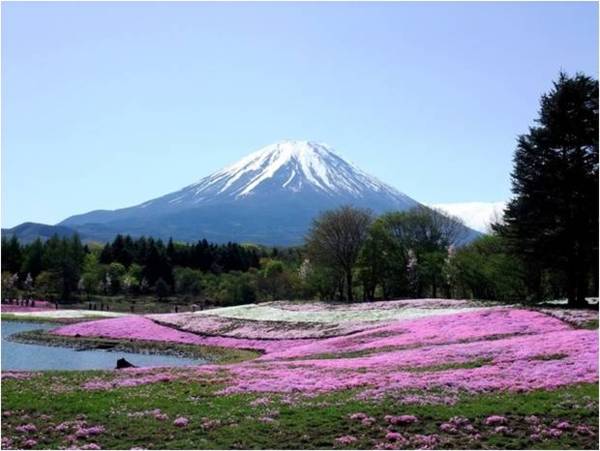 台灣旅行社提供的富士山照片，看了不由自主有一股衝動想去登頂，沒想到美麗的山景背後，是一個世紀大騙局。