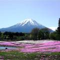 台灣旅行社提供的富士山照片，看了不由自主有一股衝動想去登頂，沒想到美麗的山景背後，是一個世紀大騙局。