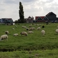 荷蘭小漁村