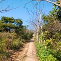 虎頭山環山步道：三聖宮-真武殿-停機坪一圈