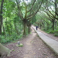 虎頭山三角點(基石)總覽