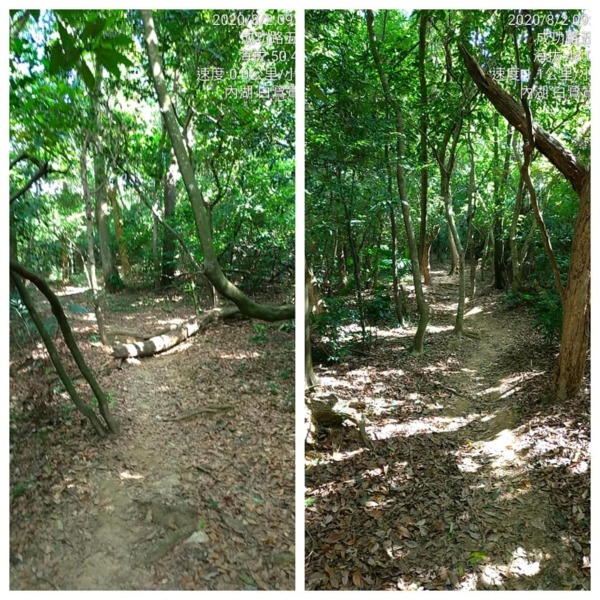 大台北漫遊 內湖白鷺鷥山大湖公園 Any Home Udn部落格