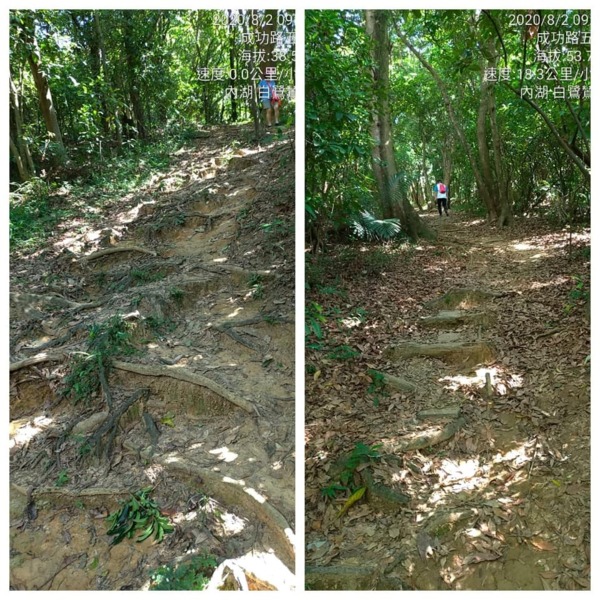 大台北漫遊 內湖白鷺鷥山大湖公園 Any Home Udn部落格