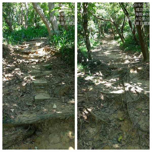 大台北漫遊 內湖白鷺鷥山大湖公園 Any Home Udn部落格