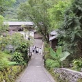 林田山