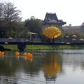 台南鹽水的橋南老街旁.月津港的黃色亮麗燈籠.其中橋中間那個黃色造型球狀.是許多雨傘組成.其他有球型.扇形.