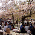 高台寺