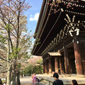 知恩院