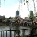 東京上野公園不忍池