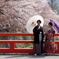 京都平安神宮