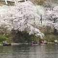 京都滋賀縣琵琶湖